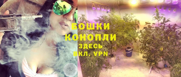 сатива Волосово