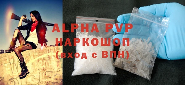 крисы Сясьстрой