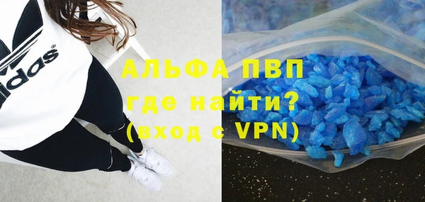 стафф Володарск