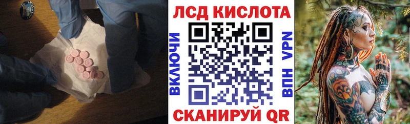 shop состав  Армавир  ЛСД экстази ecstasy  купить наркотики цена  KRAKEN  